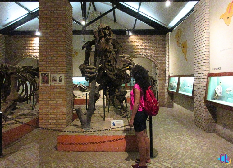 museu ciências naturais puc minas