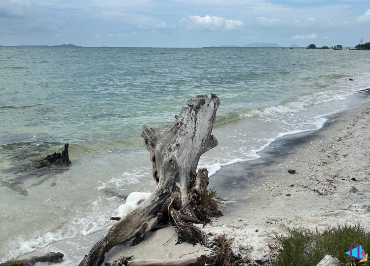 Arubinha arraial do cabo
