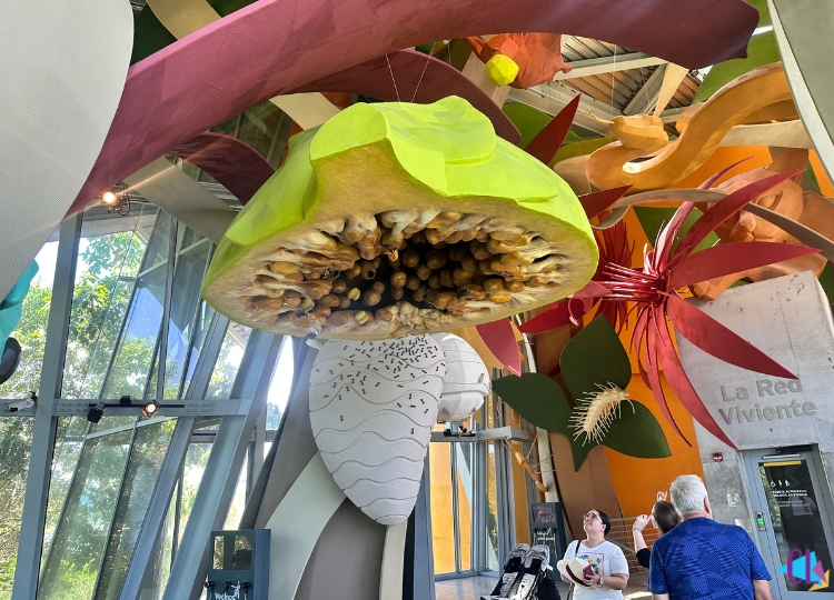 Biomuseo