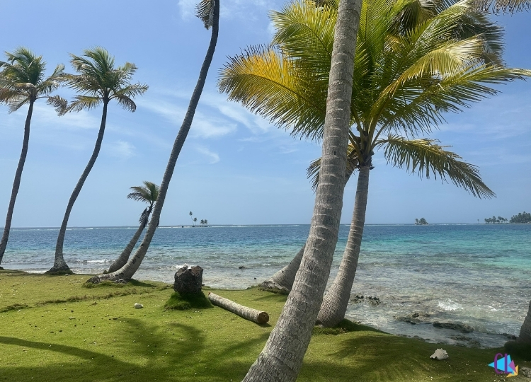 Isla Pelícano san blas