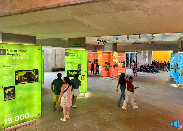 Exposição biomuseo